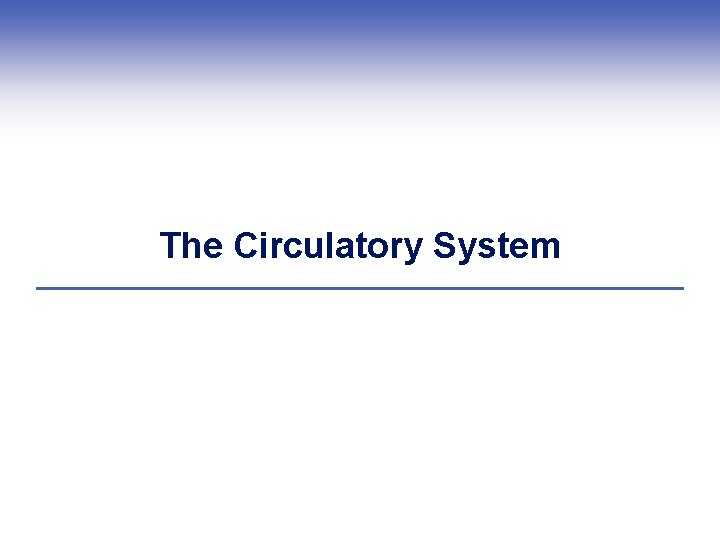 The Circulatory System 