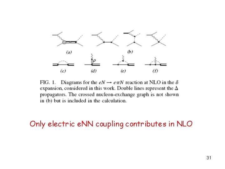 Only electric e. NN coupling contributes in NLO 31 