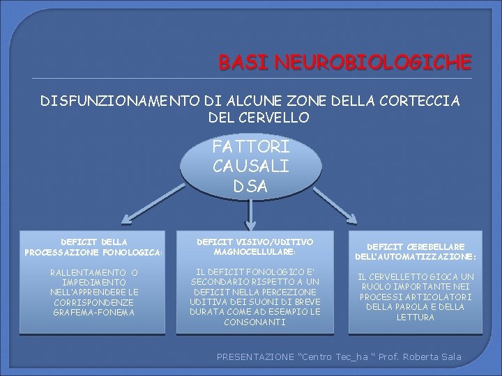 BASI NEUROBIOLOGICHE DISFUNZIONAMENTO DI ALCUNE ZONE DELLA CORTECCIA DEL CERVELLO FATTORI CAUSALI DSA DEFICIT