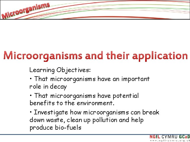 Learning Objectives: • That microorganisms have an important role in decay • That microorganisms