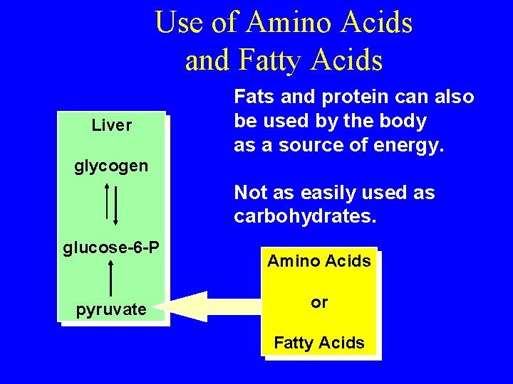 Use of Amino Acids and Fatty Acids Liver Fats and protein can also be