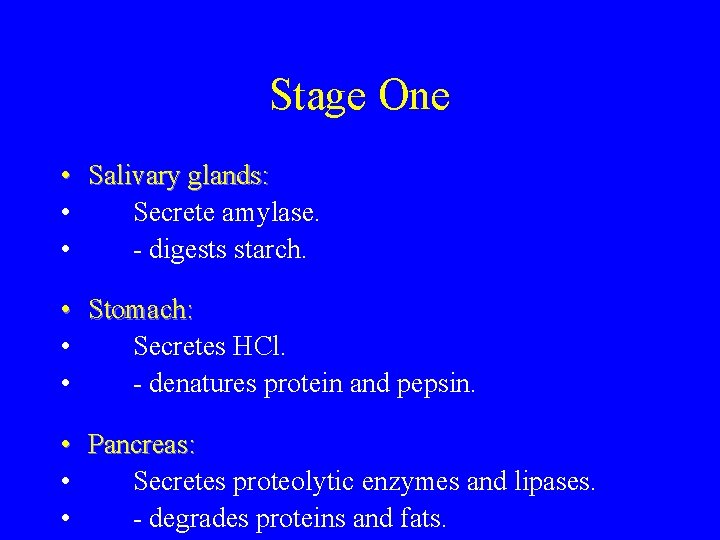 Stage One • Salivary glands: • Secrete amylase. • - digests starch. • Stomach: