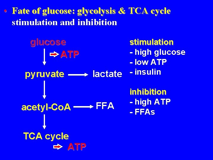  • Fate of glucose: glycolysis & TCA cycle stimulation and inhibition glucose ATP