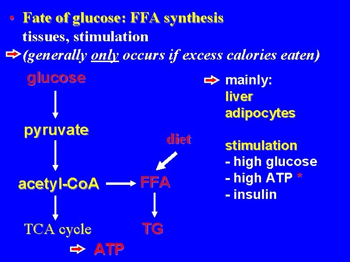  • Fate of glucose: FFA synthesis tissues, stimulation (generally only occurs if excess