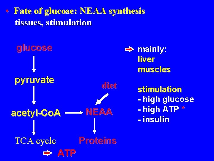  • Fate of glucose: NEAA synthesis tissues, stimulation glucose mainly: liver muscles pyruvate