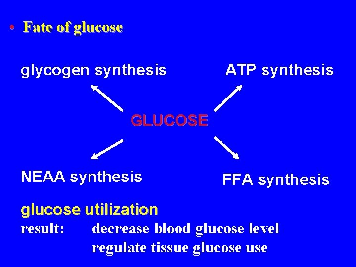  • Fate of glucose glycogen synthesis ATP synthesis GLUCOSE NEAA synthesis FFA synthesis