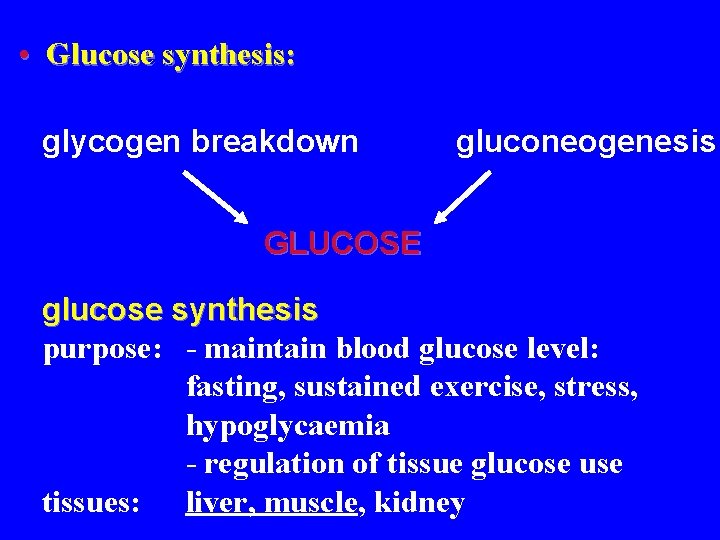  • Glucose synthesis: glycogen breakdown gluconeogenesis GLUCOSE glucose synthesis purpose: - maintain blood