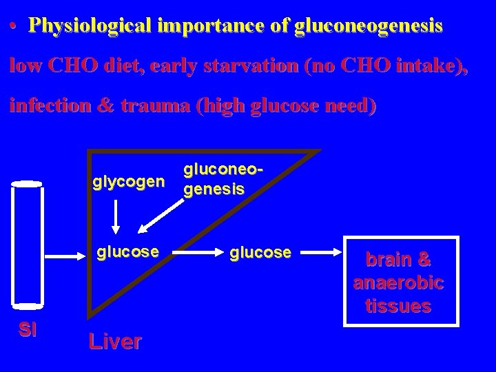  • Physiological importance of gluconeogenesis low CHO diet, early starvation (no CHO intake),