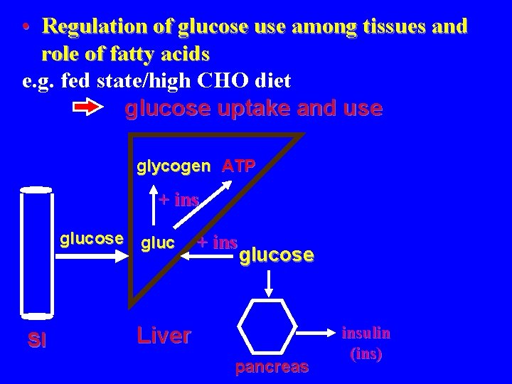  • Regulation of glucose use among tissues and role of fatty acids e.