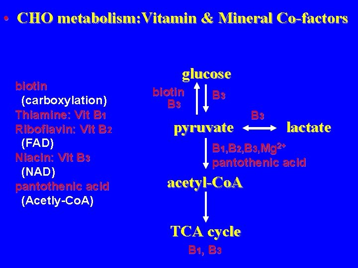  • CHO metabolism: Vitamin & Mineral Co-factors biotin (carboxylation) Thiamine: Vit B 1