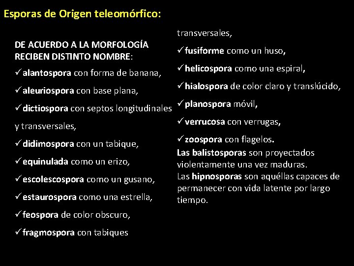 Esporas de Origen teleomórfico: DE ACUERDO A LA MORFOLOGÍA RECIBEN DISTINTO NOMBRE: NOMBRE transversales,