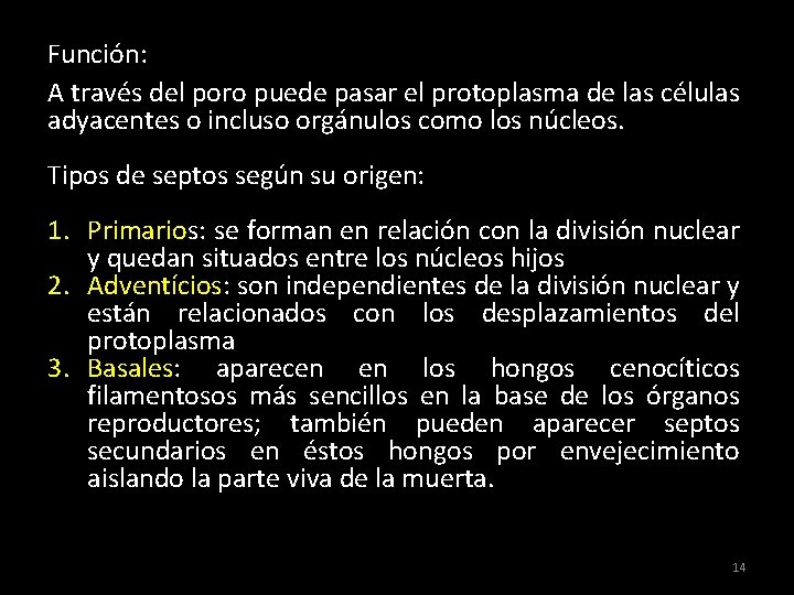 Función: A través del poro puede pasar el protoplasma de las células adyacentes o