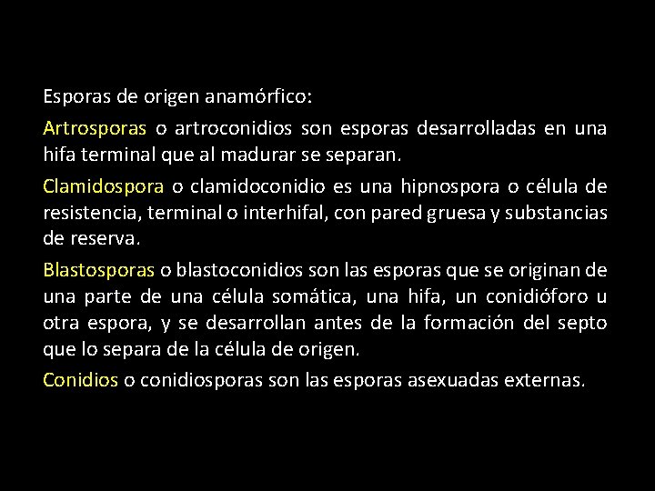 Esporas de origen anamórfico: Artrosporas o artroconidios son esporas desarrolladas en una hifa terminal