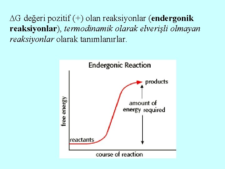  G değeri pozitif (+) olan reaksiyonlar (endergonik reaksiyonlar), termodinamik olarak elverişli olmayan reaksiyonlar