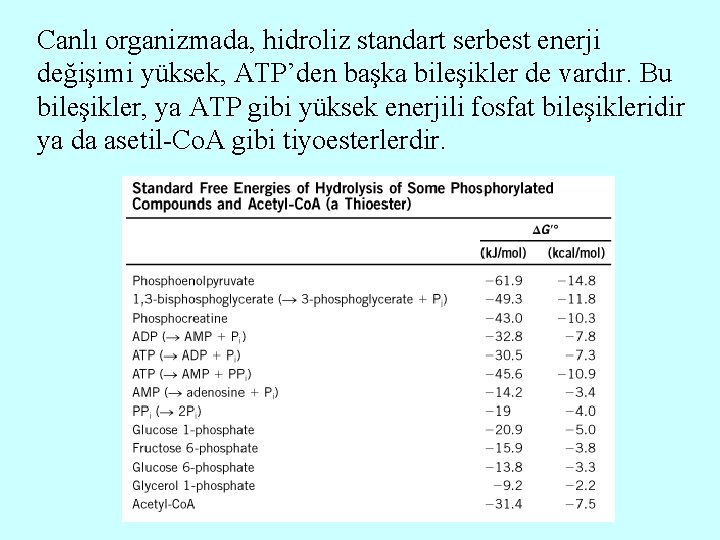 Canlı organizmada, hidroliz standart serbest enerji değişimi yüksek, ATP’den başka bileşikler de vardır. Bu
