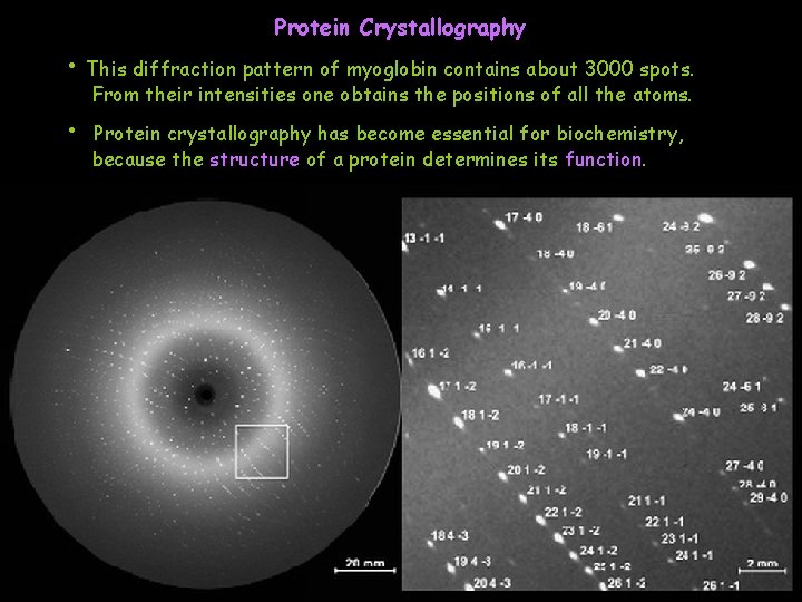 Protein Crystallography • This diffraction pattern of myoglobin contains about 3000 spots. From their