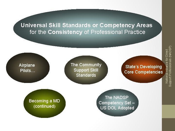Airplane Pilots… Becoming a MD (continued) The Community Support Skill Standards State’s Developing Core