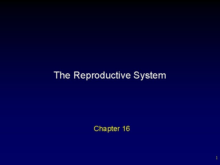 The Reproductive System Chapter 16 1 