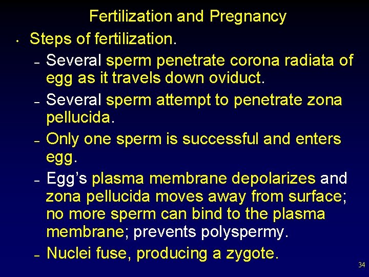  • Fertilization and Pregnancy Steps of fertilization. – Several sperm penetrate corona radiata