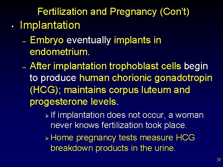 Fertilization and Pregnancy (Con’t) • Implantation – – Embryo eventually implants in endometrium. After