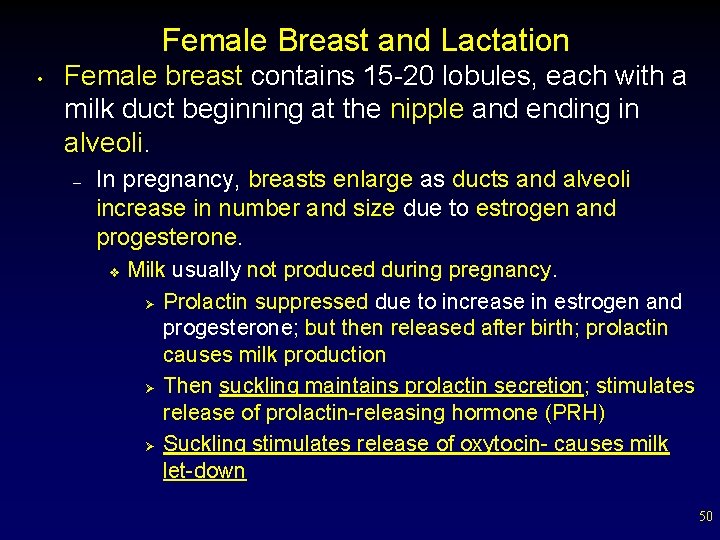 Female Breast and Lactation • Female breast contains 15 -20 lobules, each with a