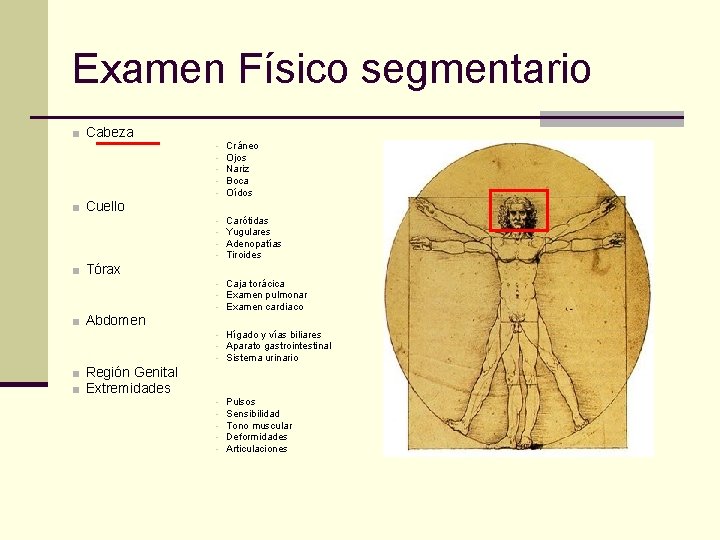 Examen Físico segmentario ■ Cabeza ■ Cuello ■ Tórax ■ Abdomen ■ Región Genital