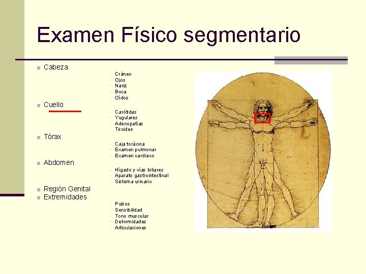 Examen Físico segmentario ■ Cabeza ■ Cuello ■ Tórax ■ Abdomen ■ Región Genital