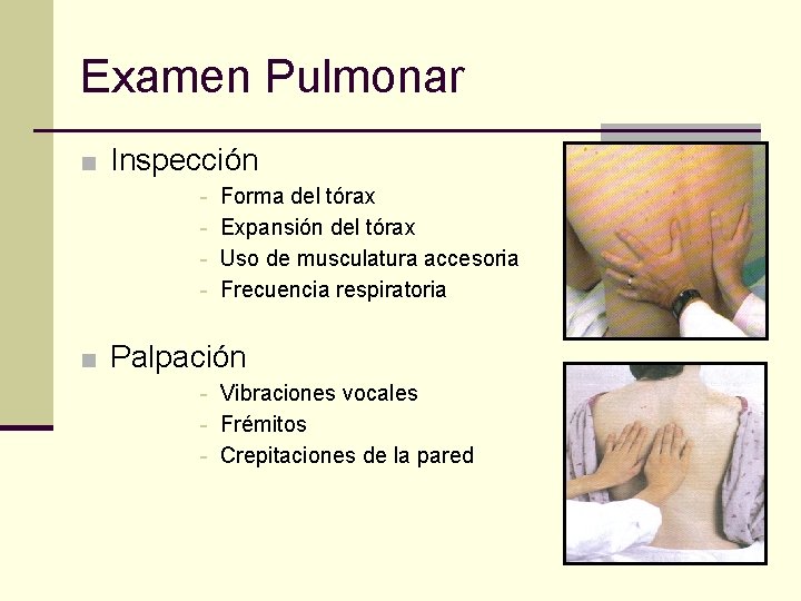 Examen Pulmonar ■ Inspección - Forma del tórax Expansión del tórax Uso de musculatura