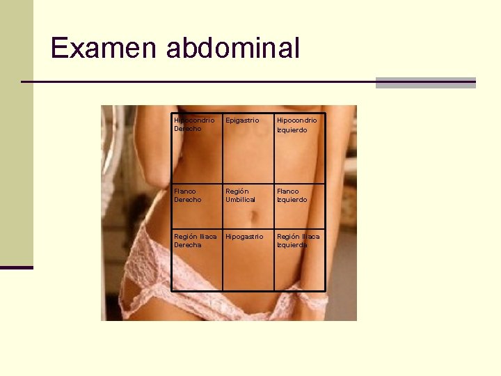 Examen abdominal Hipocondrio Derecho Epigastrio Hipocondrio Izquierdo Flanco Derecho Región Umbilical Flanco Izquierdo Región