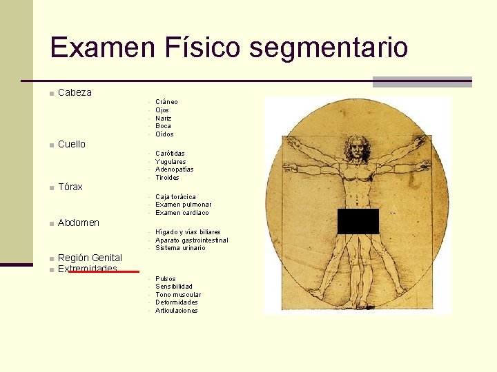 Examen Físico segmentario ■ Cabeza ■ Cuello ■ Tórax ■ Abdomen ■ Región Genital