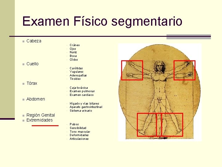 Examen Físico segmentario ■ Cabeza ■ Cuello ■ Tórax ■ Abdomen ■ Región Genital