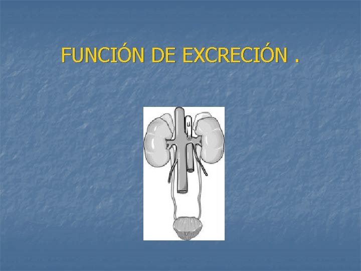 FUNCIÓN DE EXCRECIÓN. 