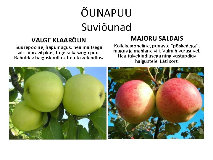 ÕUNAPUU Suviõunad VALGE KLAARÕUN Suurepoolne, hapumagus, hea maitsega vili. Varaviljakas, tugeva kasvuga puu. Rahuldav