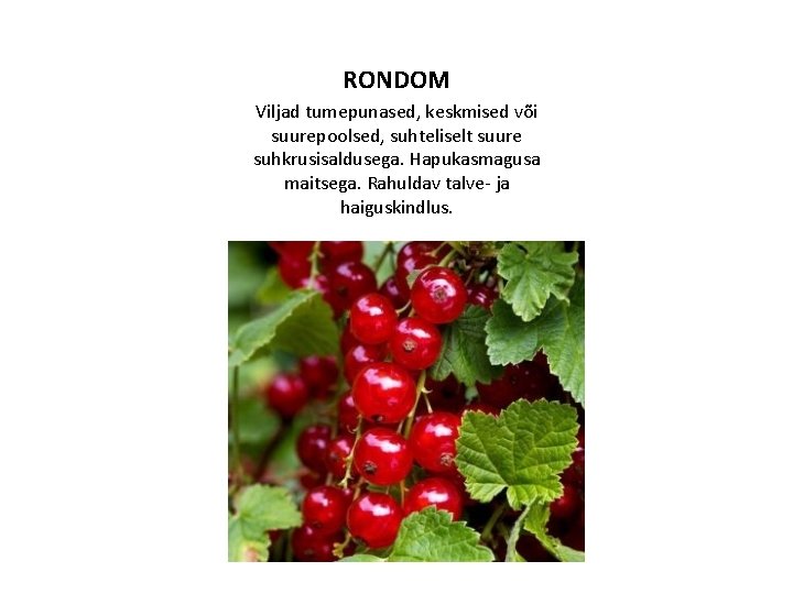 RONDOM Viljad tumepunased, keskmised või suurepoolsed, suhteliselt suure suhkrusisaldusega. Hapukasmagusa maitsega. Rahuldav talve- ja