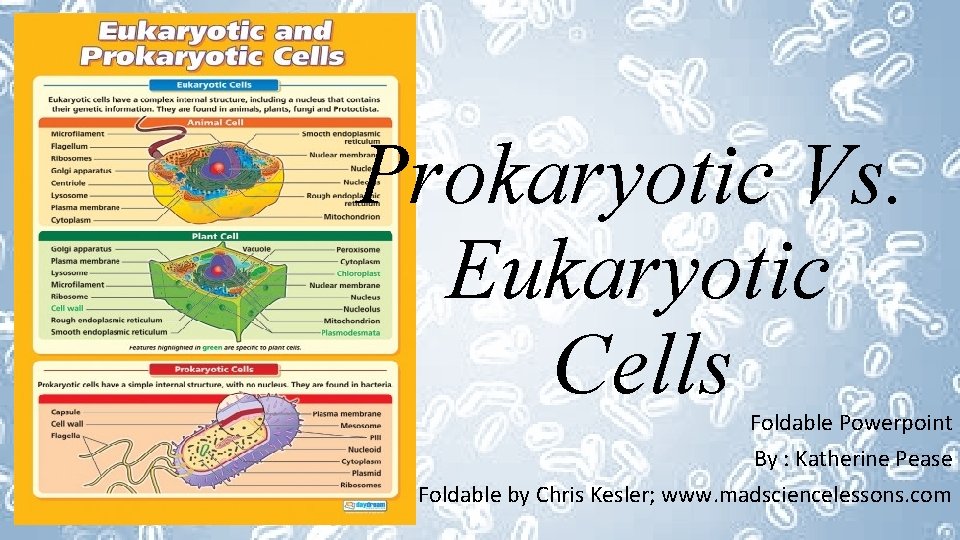 Prokaryotic Vs. Eukaryotic Cells Foldable Powerpoint By : Katherine Pease Foldable by Chris Kesler;