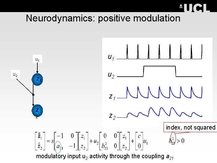 Neurodynamics: positive modulation u 1 u 2 z 1 z 2 index, not squared