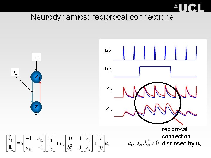 Neurodynamics: reciprocal connections u 1 u 2 z 1 z 2 reciprocal connection disclosed