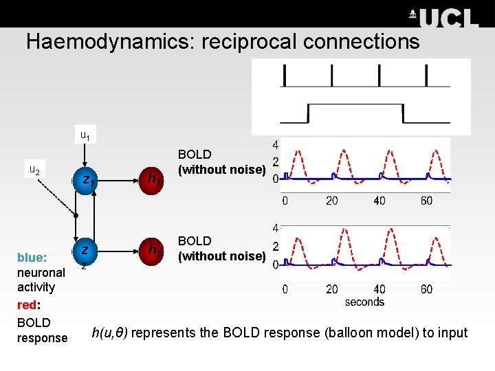 Haemodynamics: reciprocal connections u 1 u 2 blue: neuronal activity red: BOLD response z