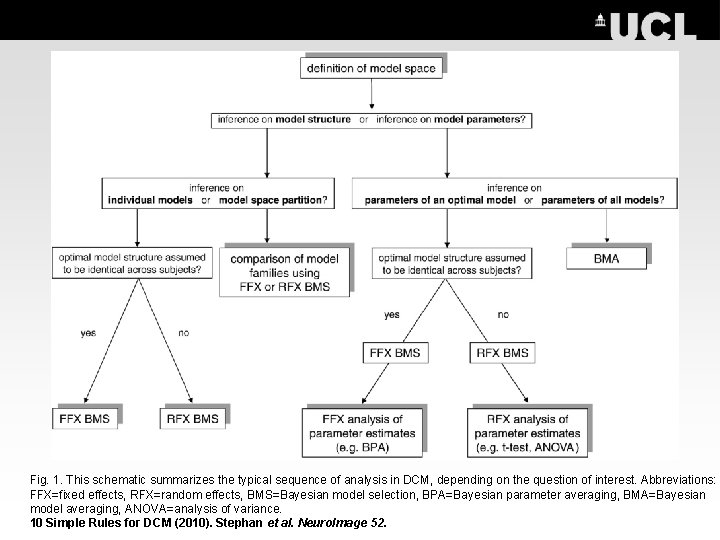 Fig. 1. This schematic summarizes the typical sequence of analysis in DCM, depending on