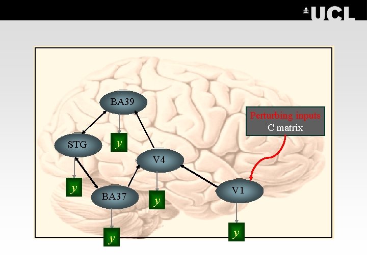 BA 39 Perturbing inputs C matrix y STG V 4 y BA 37 y