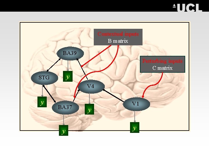 Contextual inputs B matrix BA 39 Perturbing inputs C matrix y STG V 4