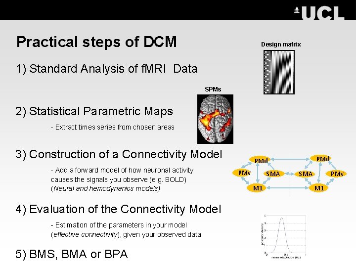 Practical steps of DCM Design matrix 1) Standard Analysis of f. MRI Data SPMs