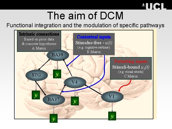 The aim of DCM Functional integration and the modulation of specific pathways Intrinsic connections