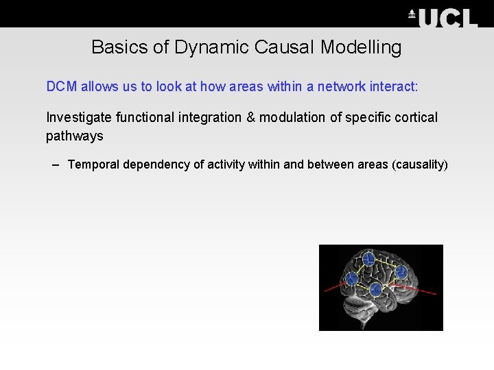 Basics of Dynamic Causal Modelling DCM allows us to look at how areas within