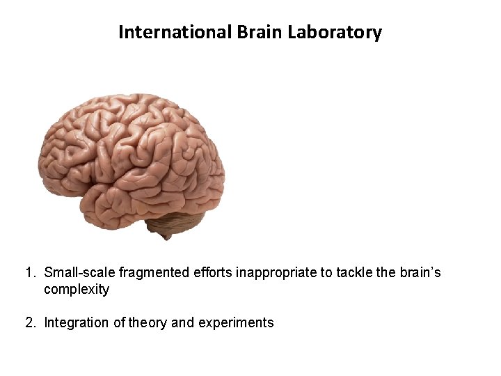 International Brain Laboratory 1. Small-scale fragmented efforts inappropriate to tackle the brain’s complexity 2.