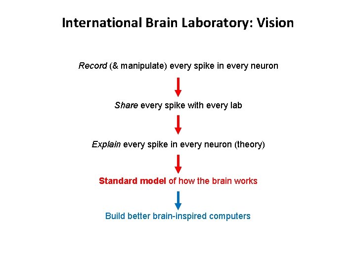 International Brain Laboratory: Vision Record (& manipulate) every spike in every neuron Share every