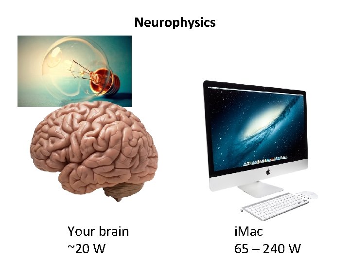 Neurophysics Your brain ~20 W i. Mac 65 – 240 W 