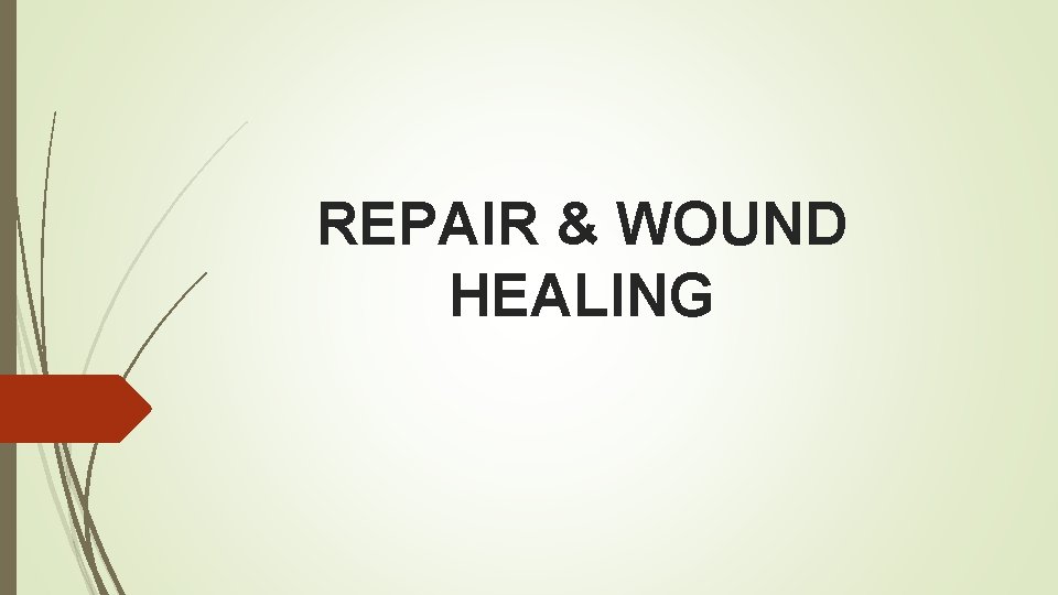 REPAIR & WOUND HEALING 