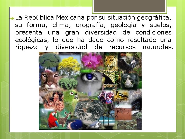  La República Mexicana por su situación geográfica, su forma, clima, orografía, geología y