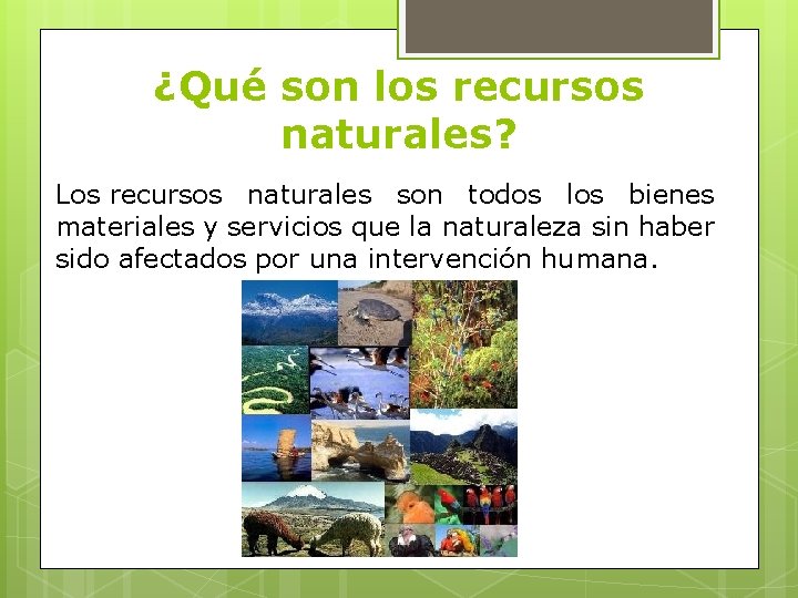 ¿Qué son los recursos naturales? Los recursos naturales son todos los bienes materiales y
